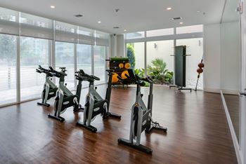 The fit: fitness w/technogym
